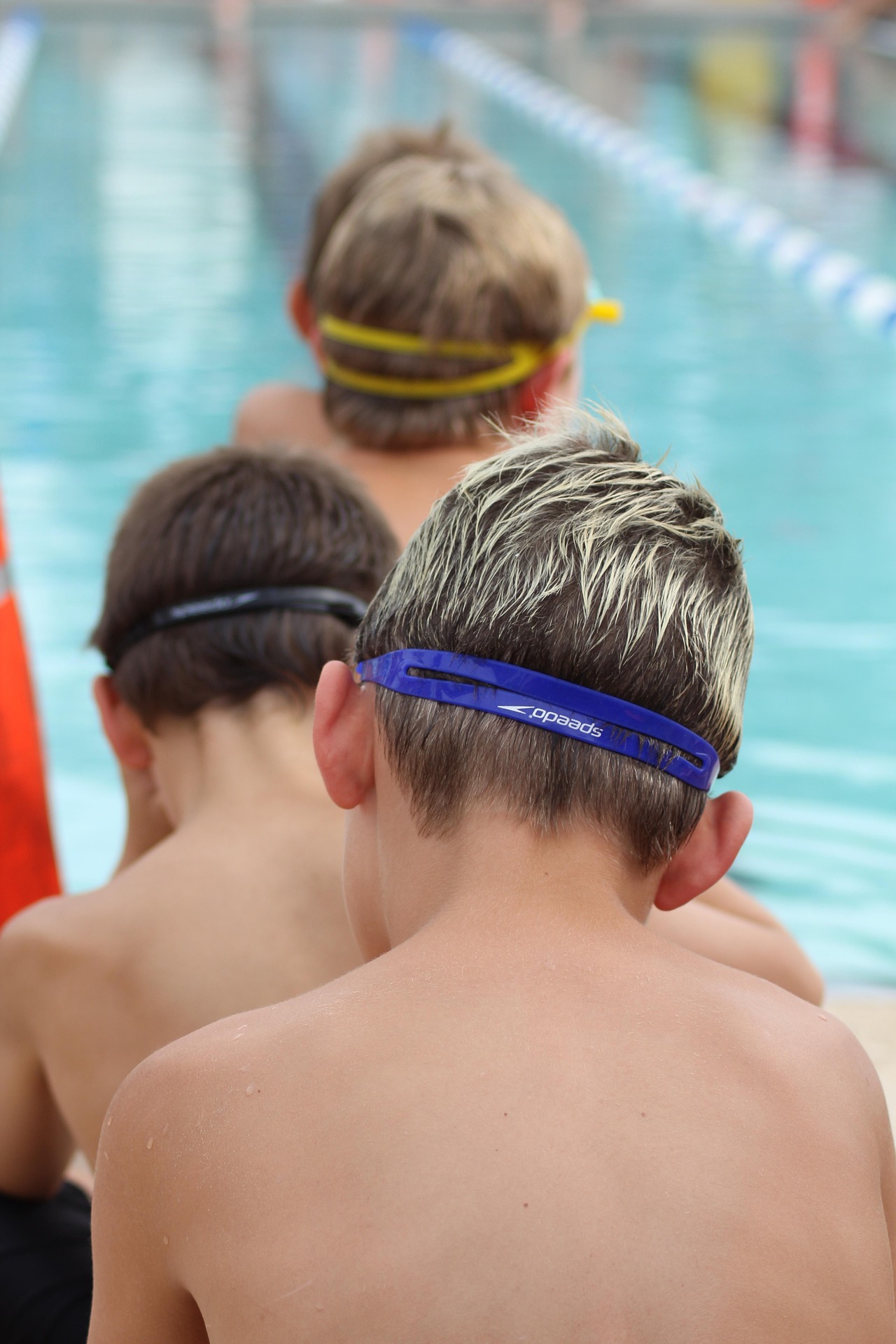 Natation scolaire